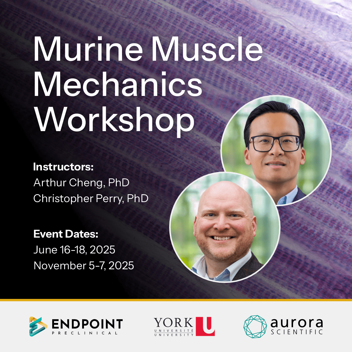 Murine Muscle Mechanics Workshop
