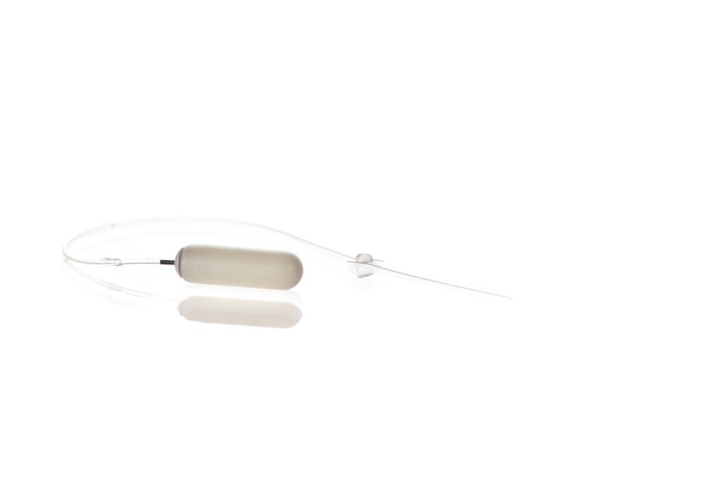 ALZET Catheters